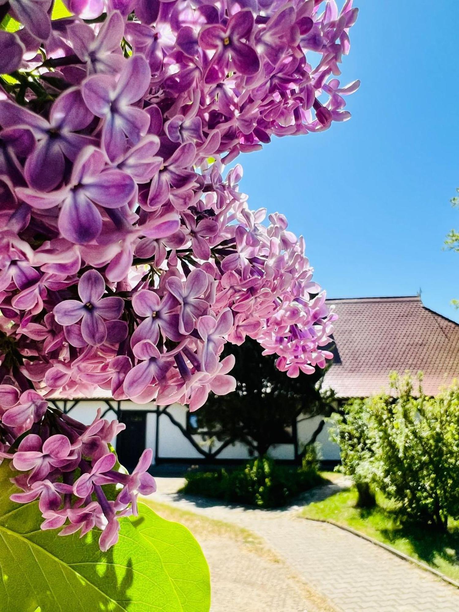 Ferienwohnung "Zur Rebe" Middelhagen Bagian luar foto